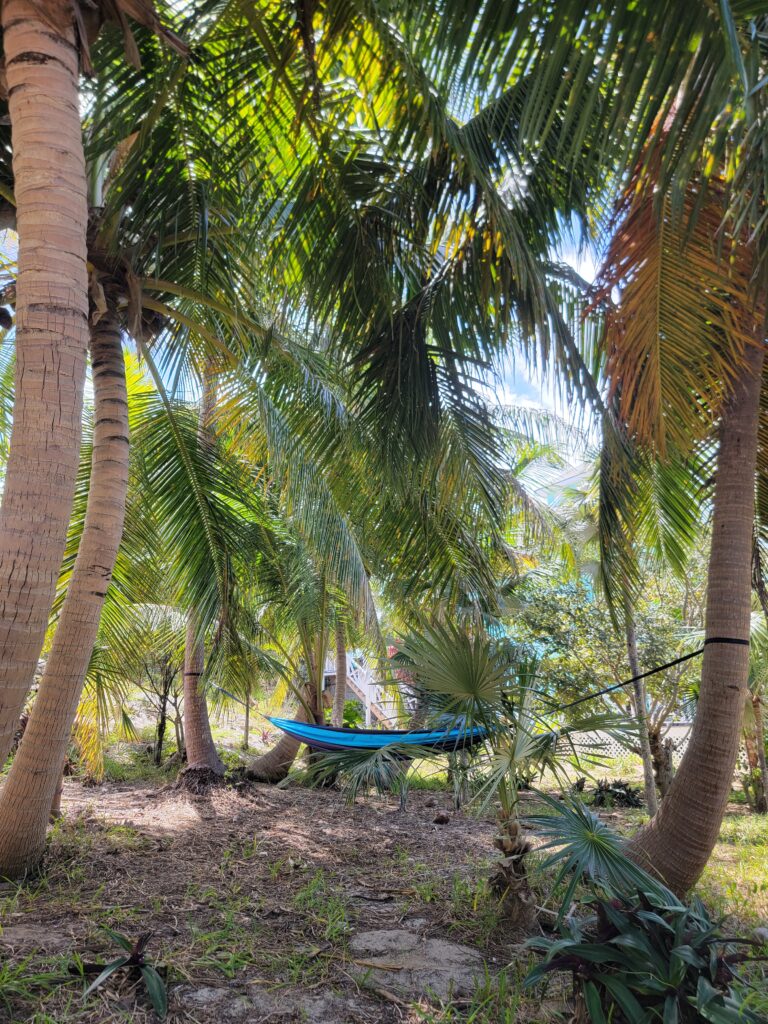 Hottest hammock at Four Turtles on Hoopers Bay's tropical garden