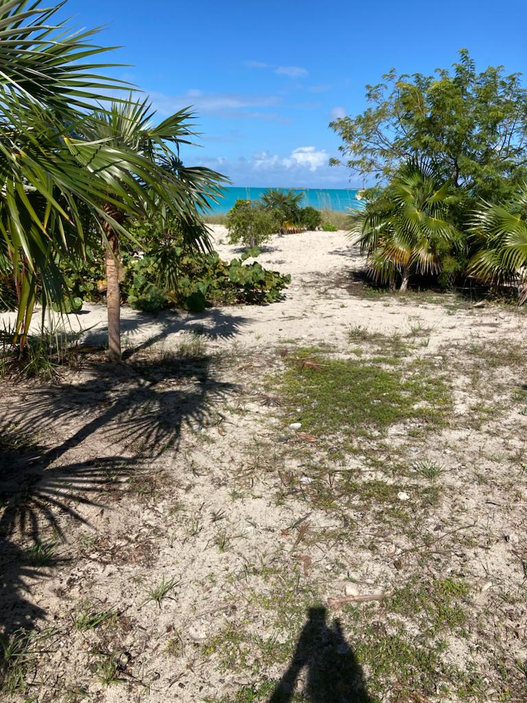 Picture of Four Turtles Villas path to Hoopers Bay beach