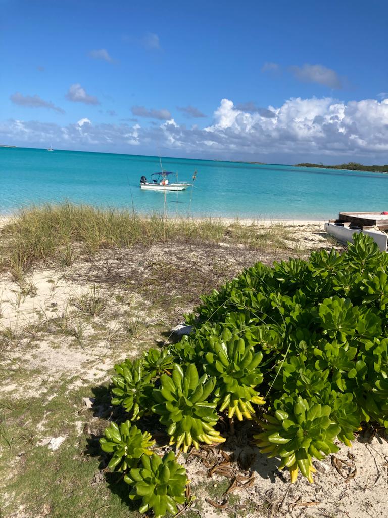 Picture of rented boat on mooring at Four Turtles Villas on Hoopers Bay beach