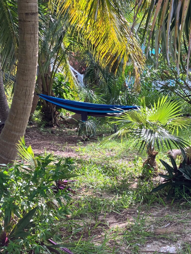 Hammock in Four Turtles Villas Tropical Gardens