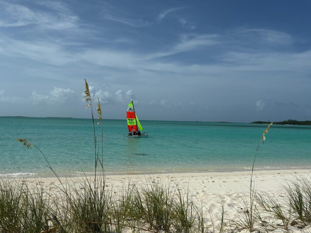 Sailing Hobie Cat at Hoopers Bay