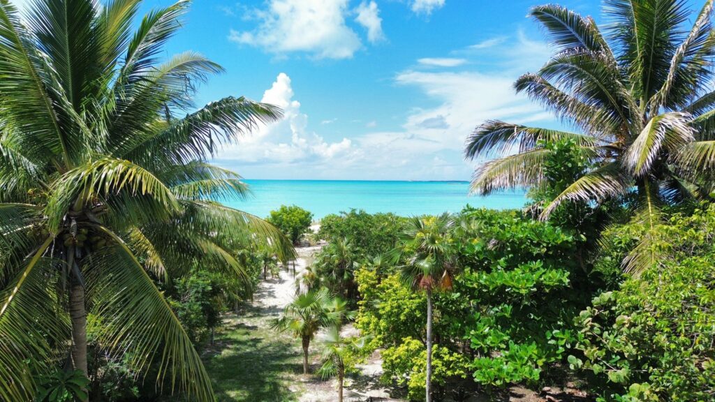 Sunrise Turtle Rental Beach Villa Tropical Garden Path and Beach View 