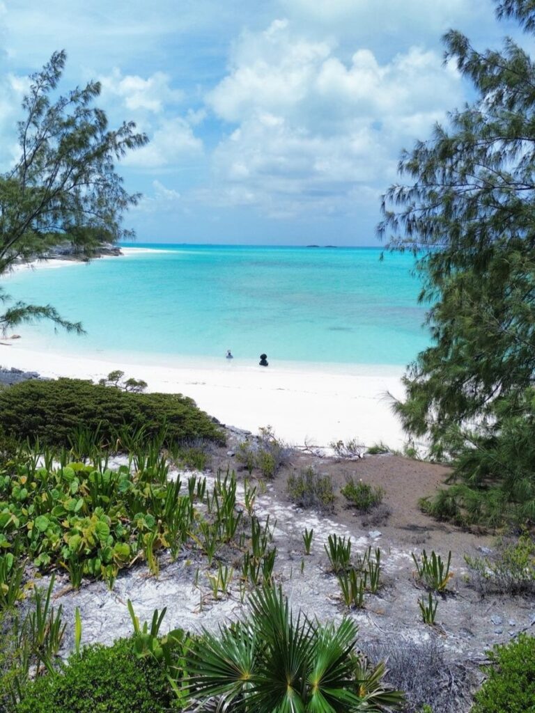 Tropic of Cancer Beach View